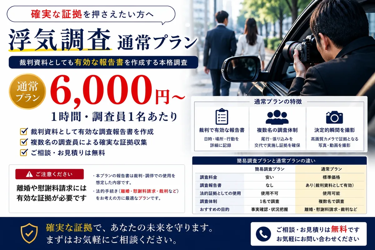 通常料金プラン
